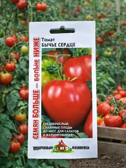 Томат Бычье сердце крупноплодный сладкий мясистый семена для теплицы и грунта