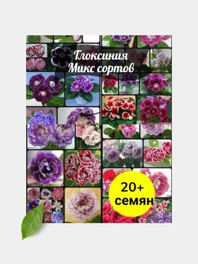 Семена домашнего цветка глоксинии, внутри бывают разных цветов, микс, 20 семян