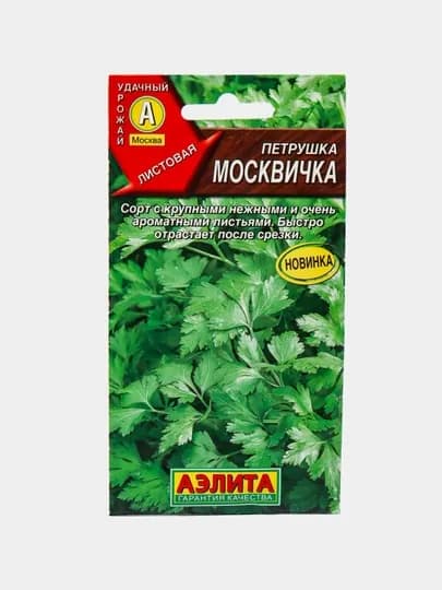 Семена Петрушки, сорт Москвичка