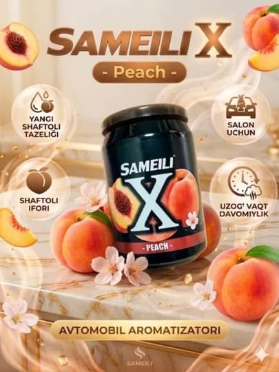 SAMEILI X ароматизатор для авто