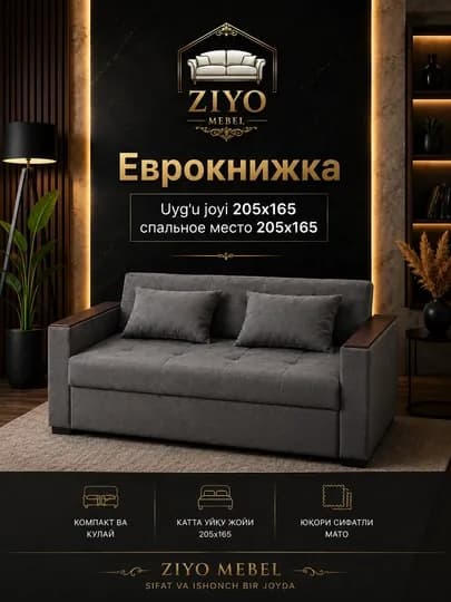 Распашной диван-кровать "Еврокнишка" — ZIYOMB-YEVROKNISHKAZ-ТЕМНСЕР