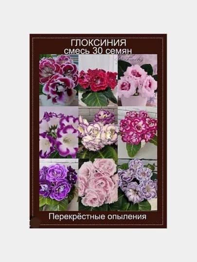 Семена домашнего цветка глоксинии, Перекрестные опыление, махровые и грамофоны, 20 штук