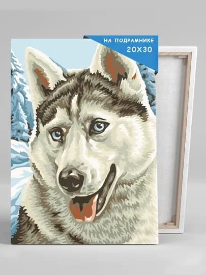 Картина рисование по номерам Skystore "Животные" холст на подрамнике, 20 * 30 — SKYST0R-JIVOTN3-БОРДОВ