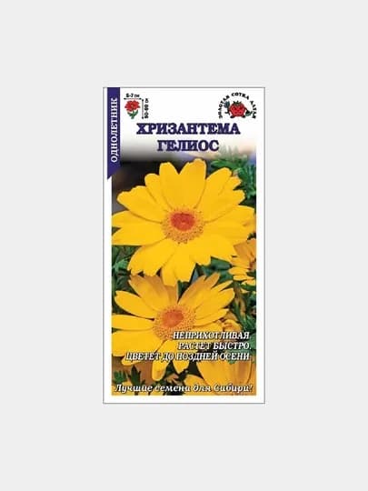Семена цветов: Хризантема. Сорт: Гелиос