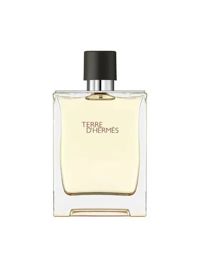 Туалетная вода Hermes Terre D'Hermes Eau de Toilette, 100 мл — 247-TERRE