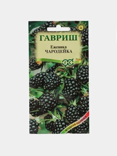 Семена, Ежевика Чародейка, 10 шт, Гавриш, Ягодная полянка 191021468