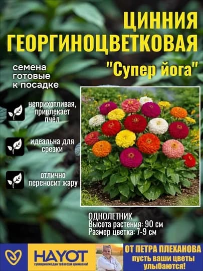 Семена цветов от Петра Плеханова: Цинния, Петуния, Портулак, Нигелла, Гомфрена, Целозия