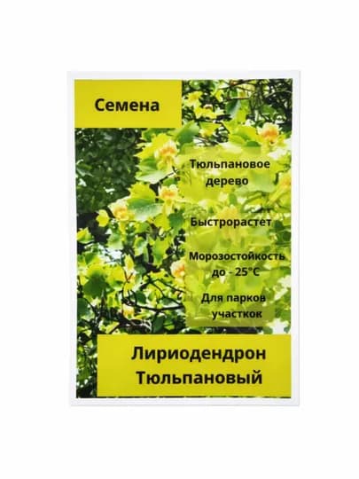 Лириодендрон Тюльпан быстрорастущее декоративное дерево