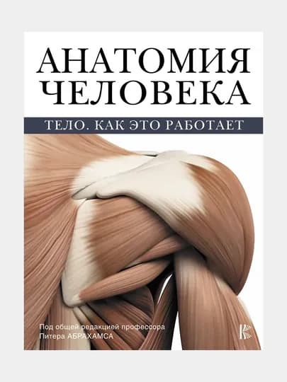 Анатомия человека