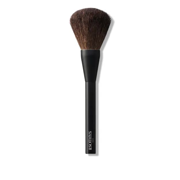 Powder brush 200000