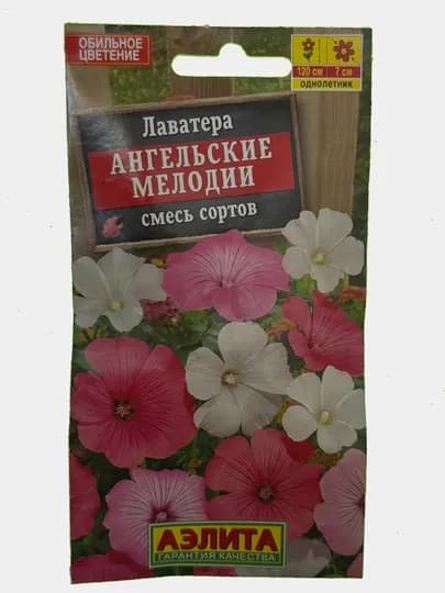 Семена цветов Лаватера