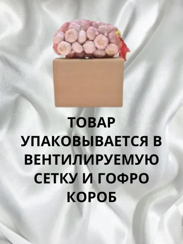Чеснок на посадку Любаша 500гр