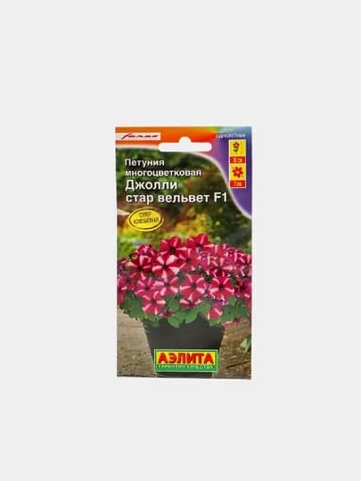 Семена цветов: Петуния Джолли стар вельвет