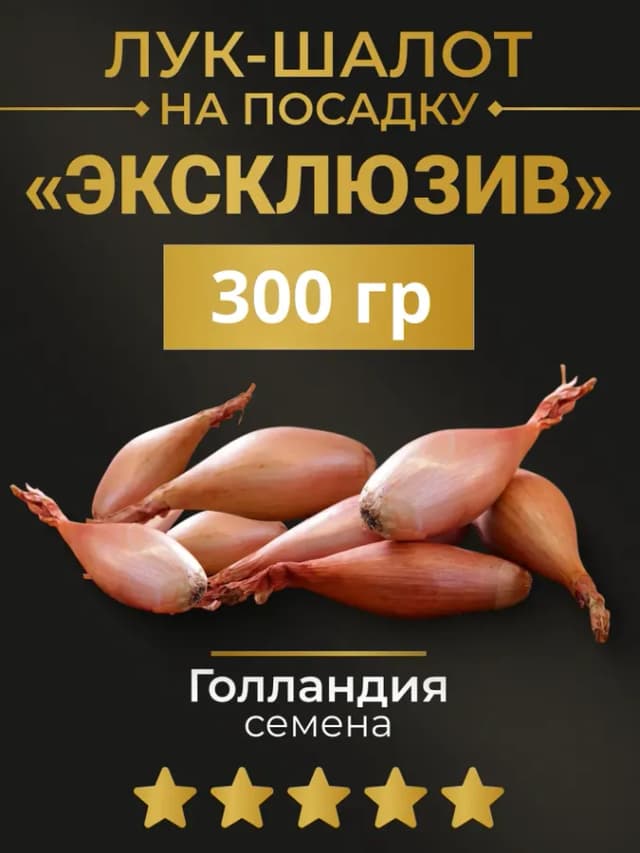 Лук Шалот на посадку 300 гр