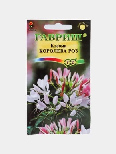 Семена цветов Гавриш Дилфиния, Маргаритка