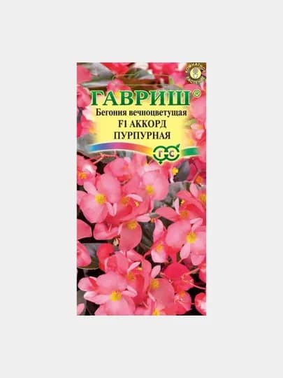 Семена Бегония, вечноцветущая, Аккорд Пурпурная F1, 4 шт, Гавриш, цветочная коллекция
