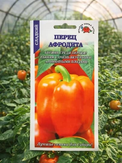 Семена перец Афродита, Золотая сотка Алтая
