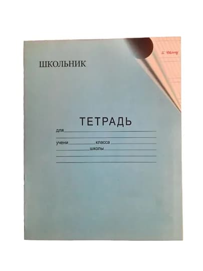 Тетради 12 листов - 10 шт, двухлинейный