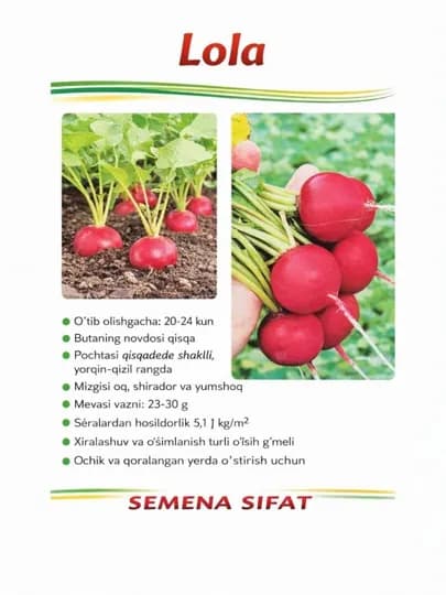 Семена редиса сорта «Lola»