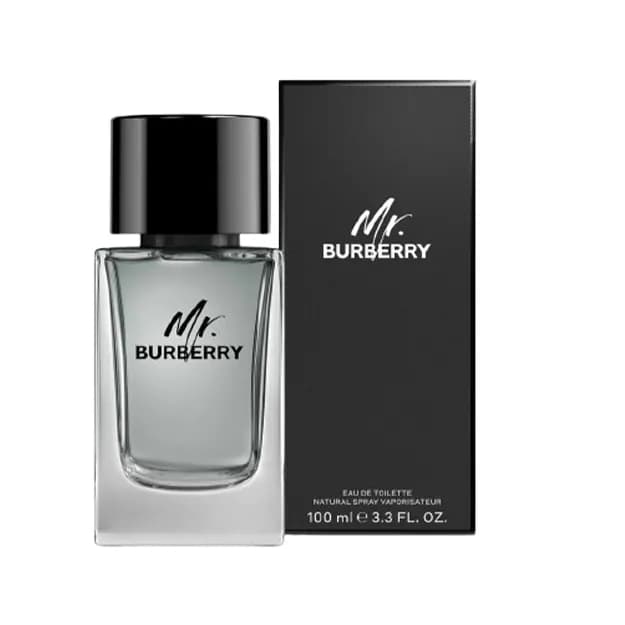 BURBERRY MR BURBERRY EDT 100ml