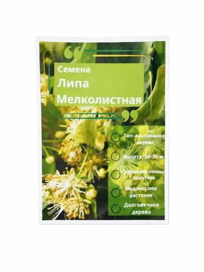 Липа мелколистная — идеальное дерево для озеленения сада и аллей