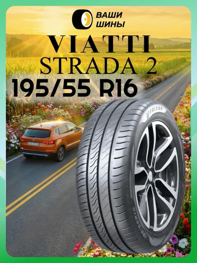 Шины летние 195 55 R16 V-134 (91V)