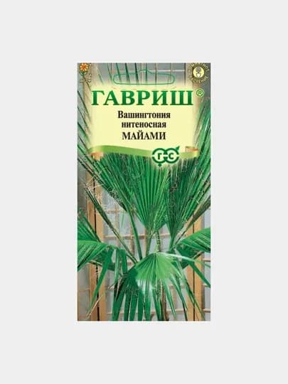 Семена Вашингтония нитеносная, Майами, 3 шт, Гавриш, цветочная коллекция