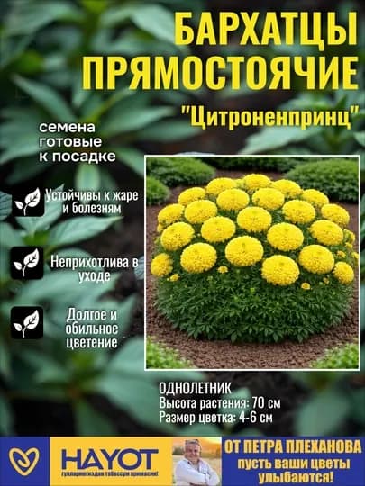 Семена бархатцев от Петра Плеханова: Прямостоячие, Отклоненные, Махровые, Мариэтта