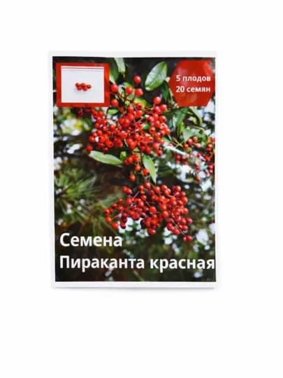 Семена Пираканта шарлаховая красная (Pyracantha coccinea), 20 штук