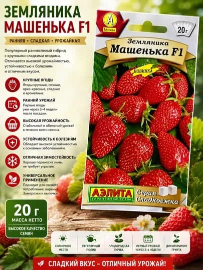 Семена земляники: Машенька F1. АЭлита