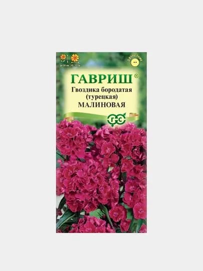 Семена цветов: Гвоздика бородатая (турецкая) малиновая. Гавриш