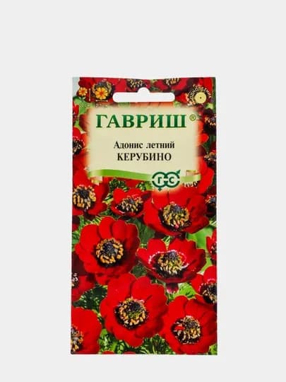 Семена цветов, Адонис летний Керубино. Гавриш