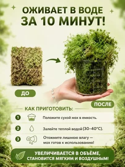 Мох сфагнум сухой GULLA, субстрат для комнатных растений, цветов и укоренения черенков — G42-GULLAMOX-mox1