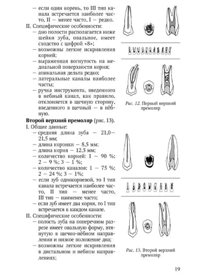 Современные подходы к эндодонтическому лечению зубов — MED1234-СОВРЕМЕ