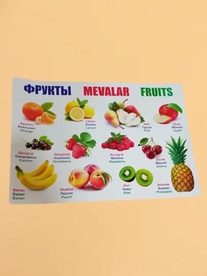 Плакат с алфавитом, животными, фруктами, овощами, для детей — NSHF-PLAKATLAR-КРАСН