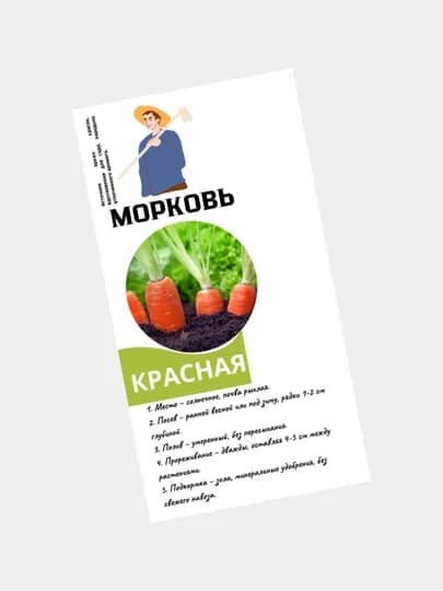 Семена моркови
