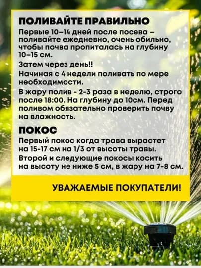 Семена газона для спортивных площадок и активного отдыха, Газонная трава, 500 г