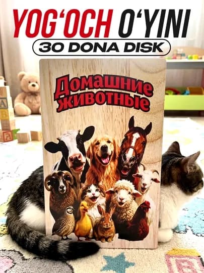 Монтессори, цветные пазлы, развивающие игрушки, логические игры — ABACUSM-ABACUSMARKET-МЕНТОЛ