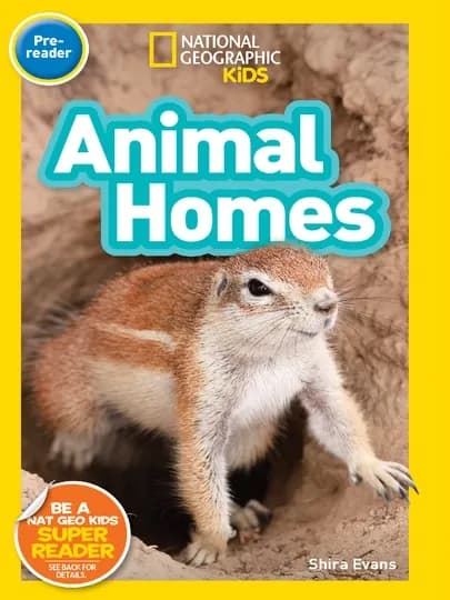 National Geographic Kids: Набор 30шт, 3шт или 1шт по выбору — USATOYS-PREREADER-ЛАЗУР