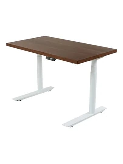 StolStoya Стол с регулировкой высоты ТИТАН Design 160*80 SEY650DWAO16080 — СТОЛМАГ-SEY650DWAO16080