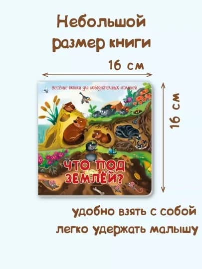 Виммельбух для малышей: серия окошечных картонных книг 16×16, 0+, БимБиМон — GORFAM-GOR8154-ЧЕРН