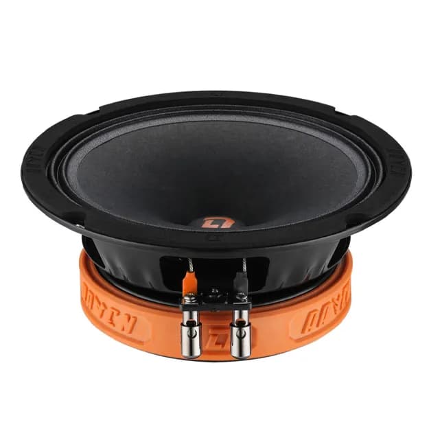 DL Audio Raven 200