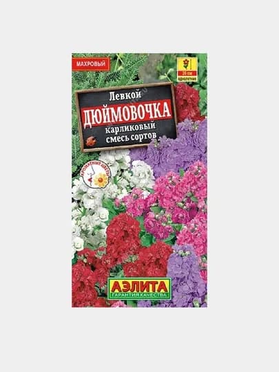 Семена цветов Левкой «Седой Дюймовочка», карликовый, смесь окрасок