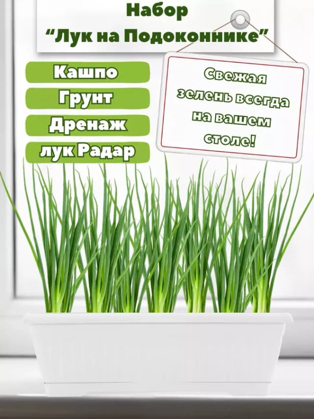 Набор Лук на Подоконнике
