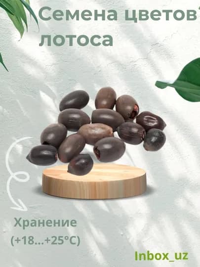 Семена цветов лотоса многолетние водные растения