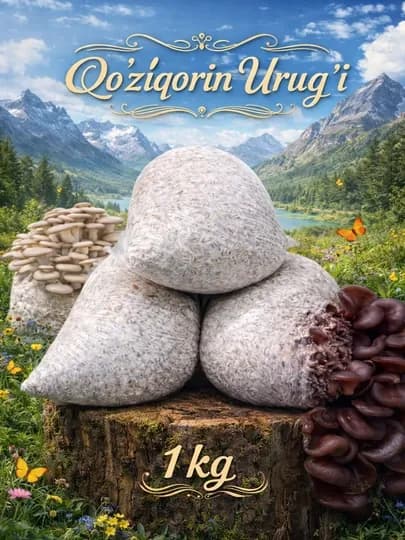 Мицелий грибов (зерновой), 1 кг