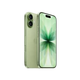 Смартфон Apple iPhone 17 256 ГБ (eSIM), Sage