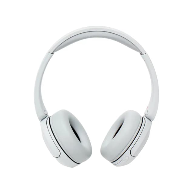 Беспроводные наушники Sony WH-CH520, silver