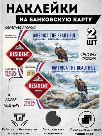Декор карт, наклейки для карты, наклейка для банковскую карту — OQQORA-ORAKAL2-СЕРЫЙ