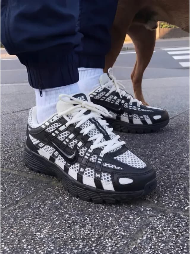 Кроссовки кеды мужские nike P-6000 спортивные